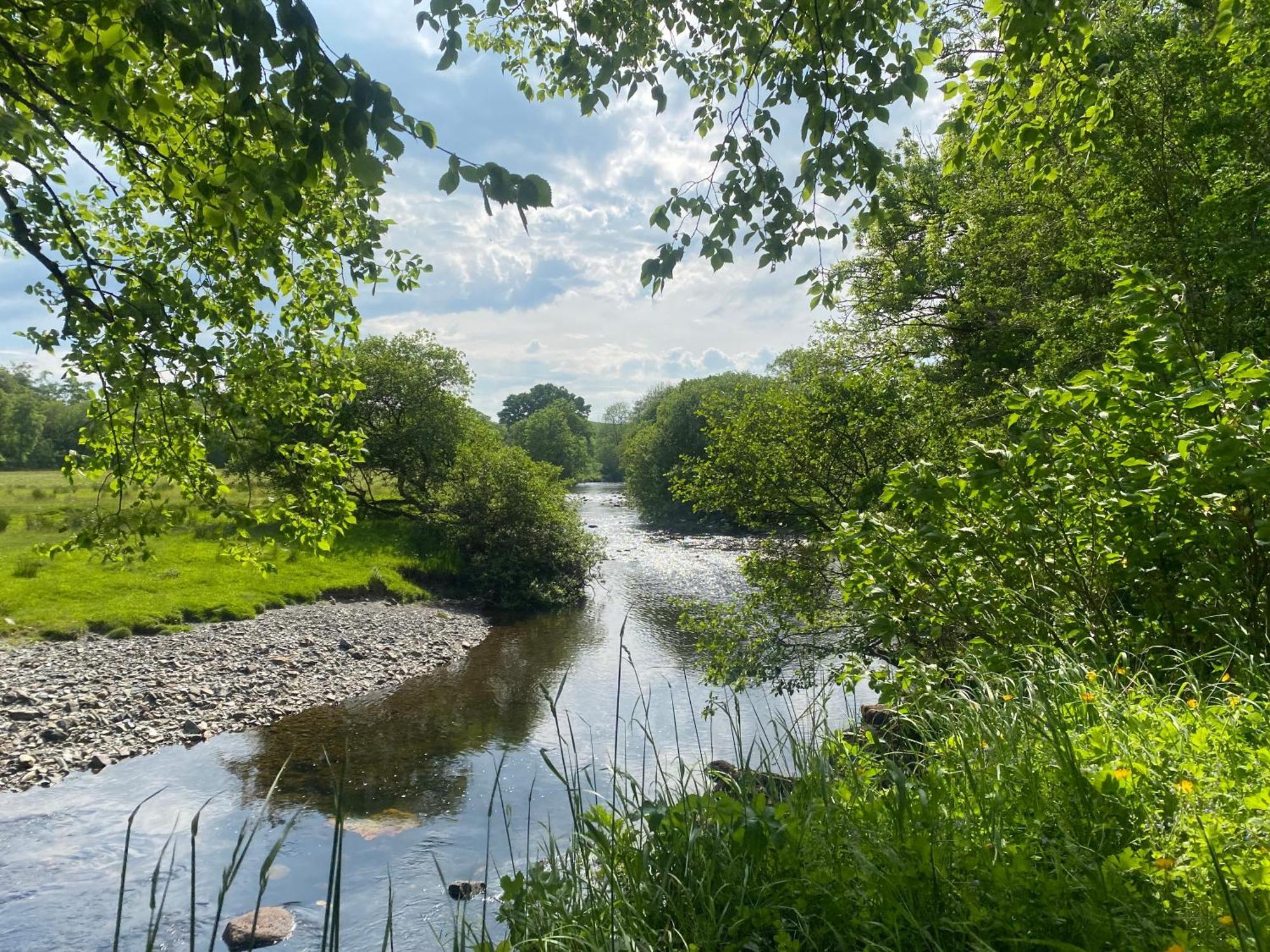 Bronfelin & Troed-Y-Rhiw Holiday Cottage Llanwrtyd Wells Екстериор снимка