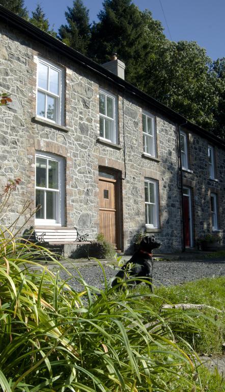 Bronfelin & Troed-Y-Rhiw Holiday Cottage Llanwrtyd Wells Екстериор снимка